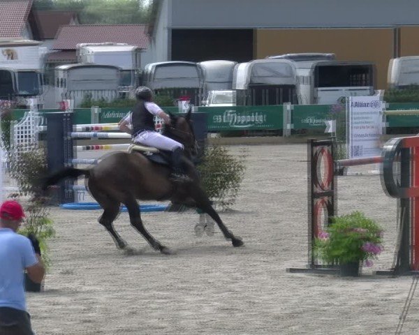 Reitturnier Sauldorf-Boll 2024
