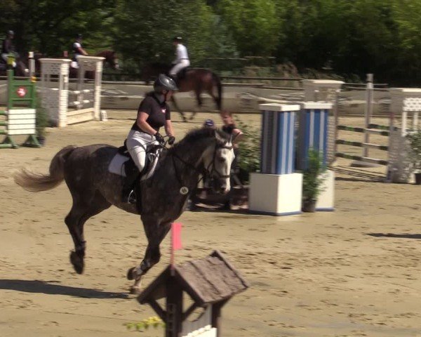 Reitturnier Vellinghausen 2024