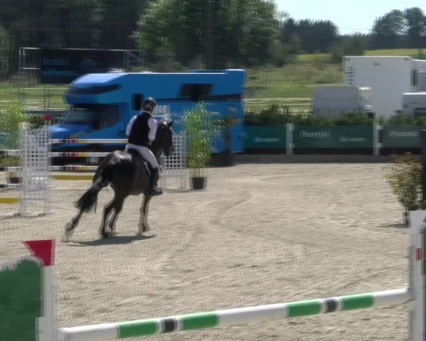Reitturnier Sauldorf-Boll 2024
