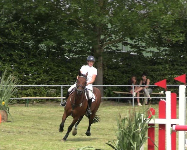 Reitturnier Woldegk 2024