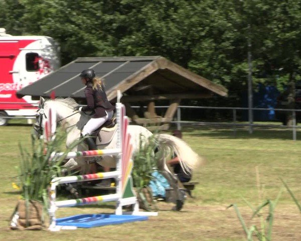 Reitturnier Woldegk 2024