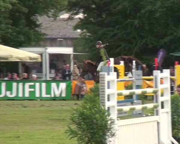 Pfingst-Dressur- und Springturnier 2013 des ZRFV Borken