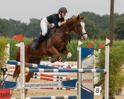 jumper Froschkönig K (Oldenburg show jumper, 2018, from For Fairness 3)