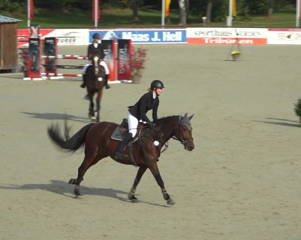 Reitturnier Westergellersen 2021