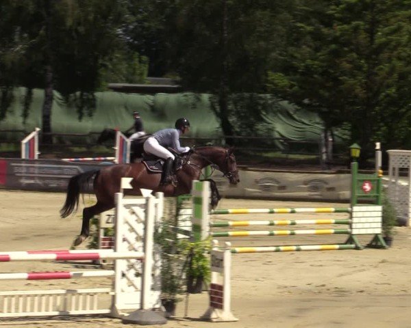 Reitturnier Vellinghausen 2024