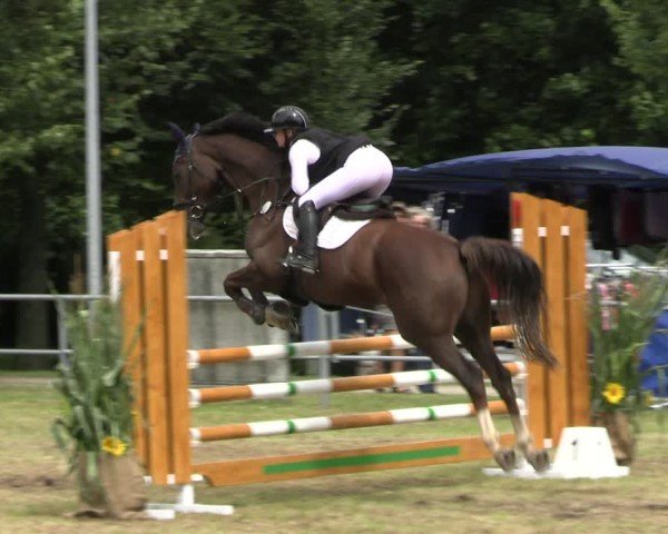 Reitturnier Woldegk 2024