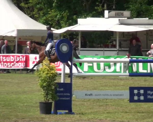 Pfingst-Dressur- und Springturnier 2013 des ZRFV Borken