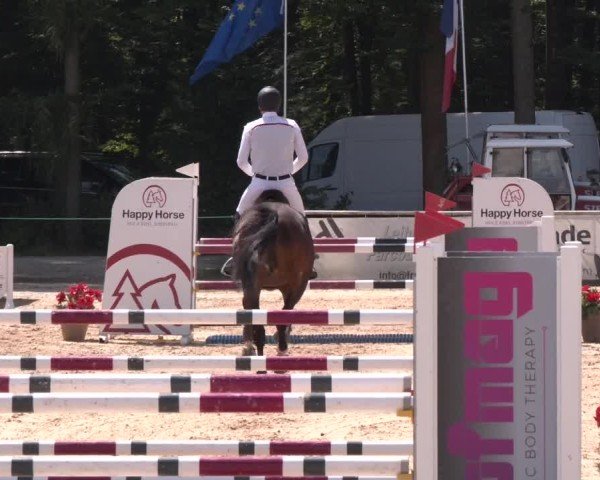 Reitturnier Ranshofen - Braunau am Inn 2024