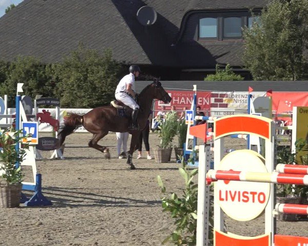 Reitturnier Behrendorf 2024