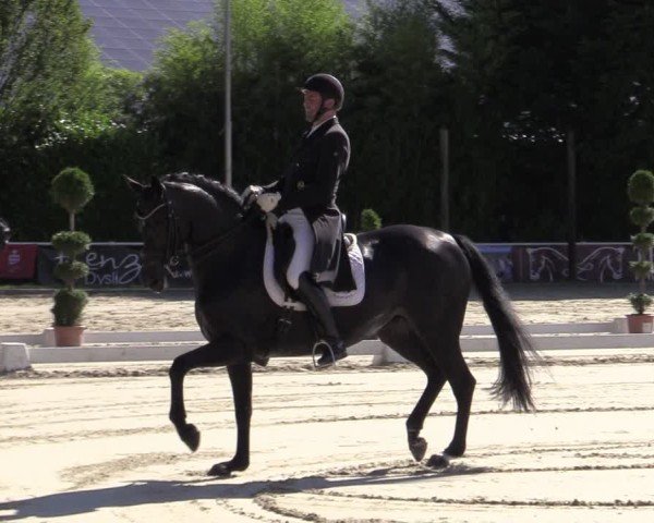 Reitturnier Bergisch Gladbach - Hebborner Hof 2024