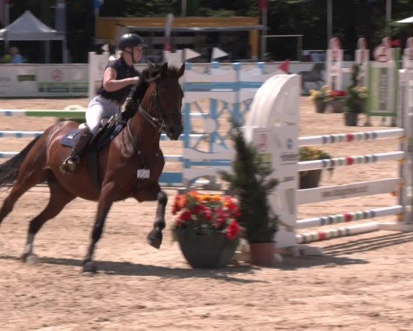 Reitturnier Ranshofen - Braunau am Inn 2024
