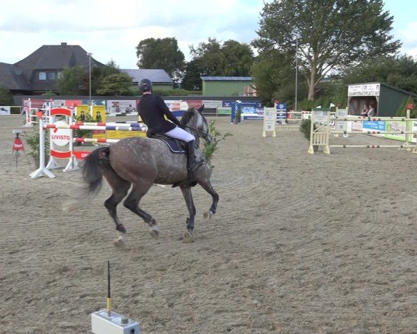 Reitturnier Behrendorf 2024