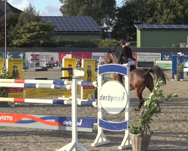 Reitturnier Behrendorf 2024