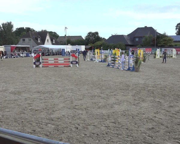 Reitturnier Behrendorf 2024