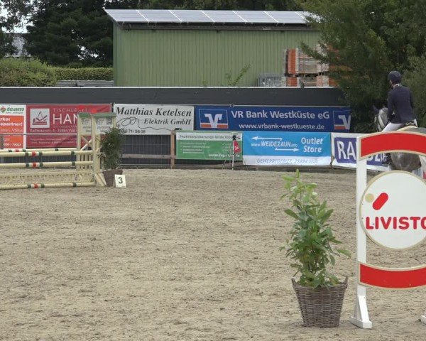 Reitturnier Behrendorf 2024
