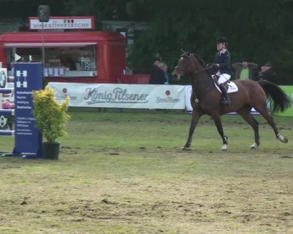 Pfingst-Dressur- und Springturnier 2013 des ZRFV Borken
