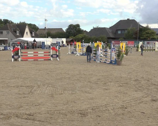 Reitturnier Behrendorf 2024