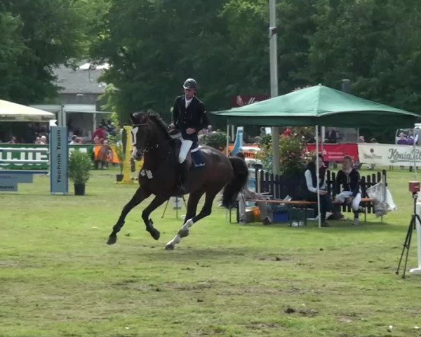 Pfingst-Dressur- und Springturnier 2013 des ZRFV Borken