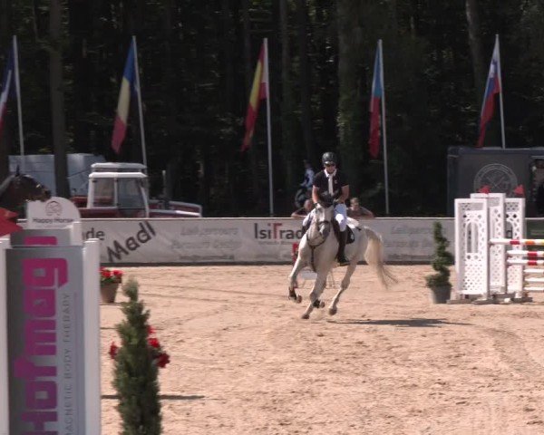 Reitturnier Ranshofen - Braunau am Inn 2024