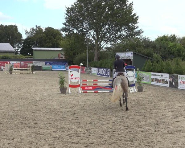 Reitturnier Behrendorf 2024