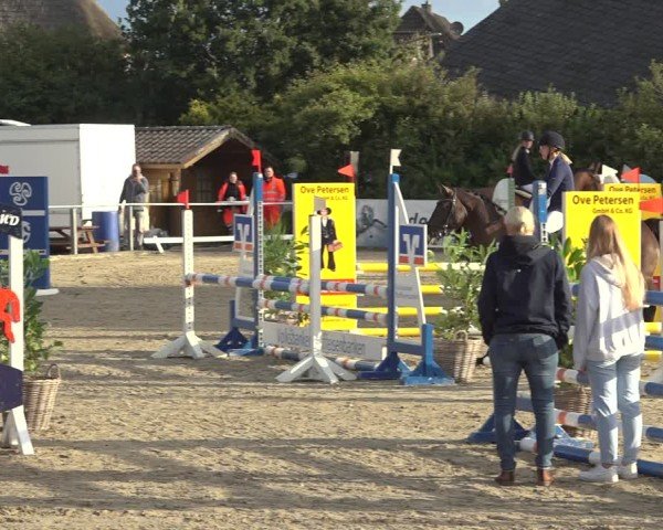 Reitturnier Behrendorf 2024