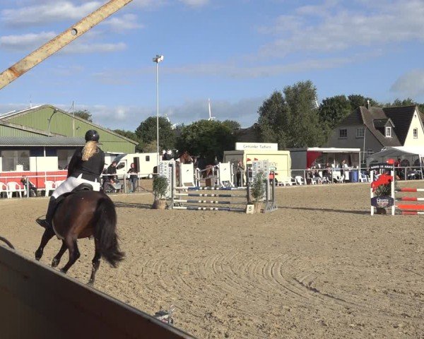 Reitturnier Behrendorf 2024