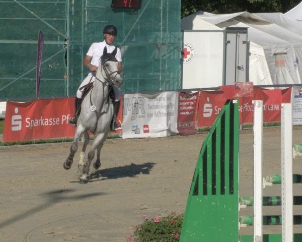 Reitturnier Oberderdingen 2024