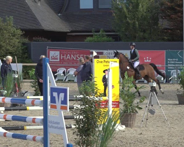 Reitturnier Behrendorf 2024