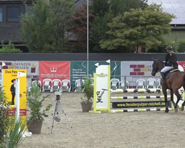 Reitturnier Behrendorf 2024