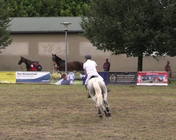 Reitturnier Woldegk 2024