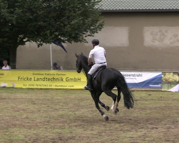 Reitturnier Woldegk 2024