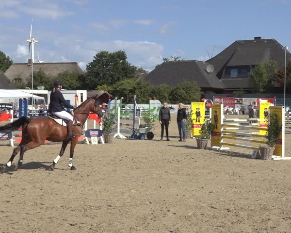 Reitturnier Behrendorf 2024