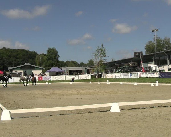 Reitturnier Bergisch Gladbach - Hebborner Hof 2024