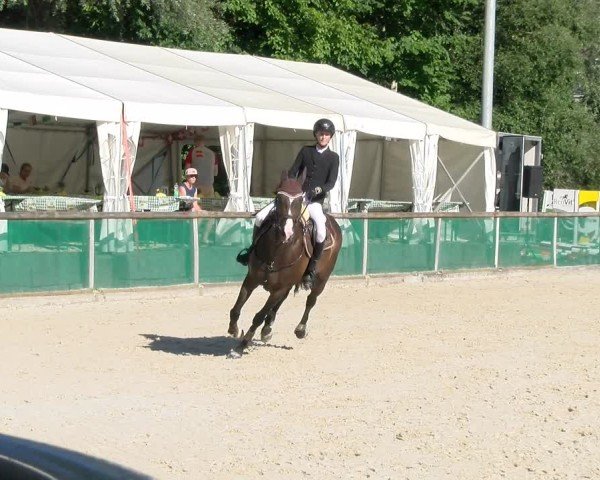 Reitturnier Schüpfheim 2024