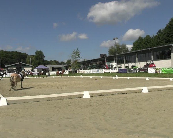 Reitturnier Bergisch Gladbach - Hebborner Hof 2024