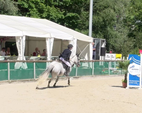 Reitturnier Schüpfheim 2024