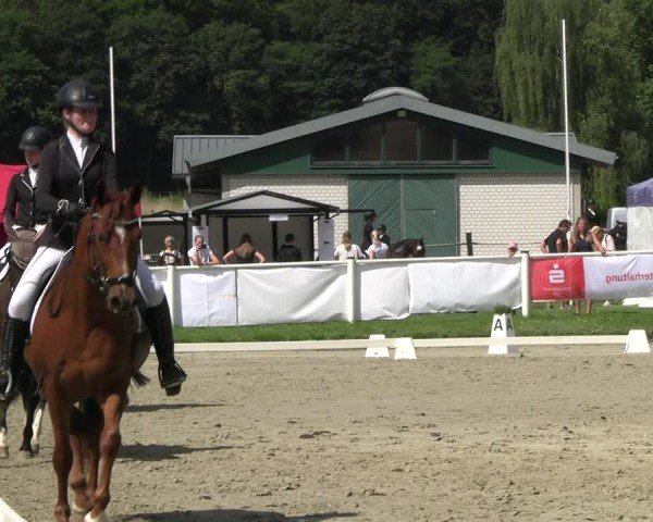 Reitturnier Bergisch Gladbach - Hebborner Hof 2024