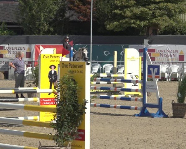 Reitturnier Behrendorf 2024