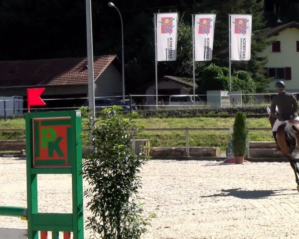 Reitturnier Schüpfheim 2024