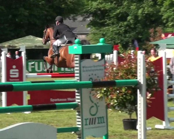 Pfingst-Dressur- und Springturnier 2013 des ZRFV Borken