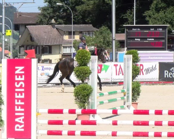 Reitturnier Schüpfheim 2024