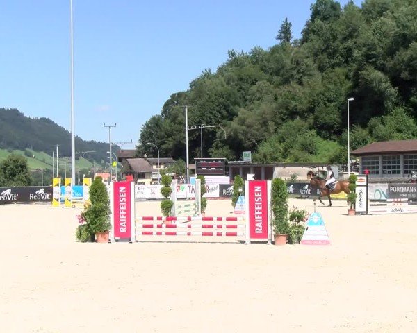 Reitturnier Schüpfheim 2024