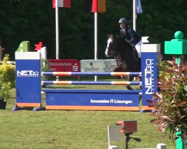 Pfingst-Dressur- und Springturnier 2013 des ZRFV Borken