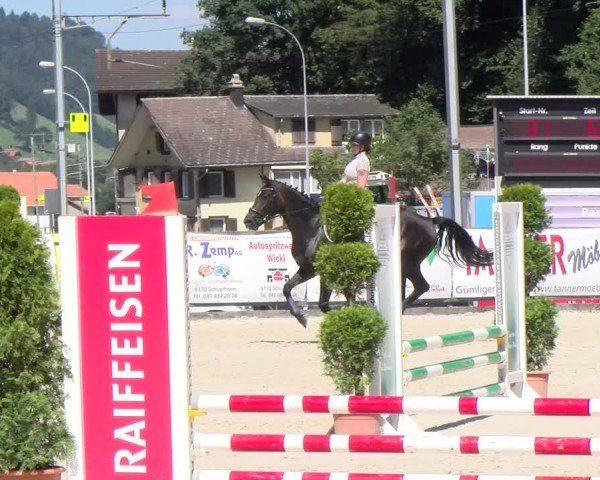 Reitturnier Schüpfheim 2024