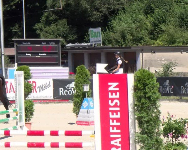 Reitturnier Schüpfheim 2024