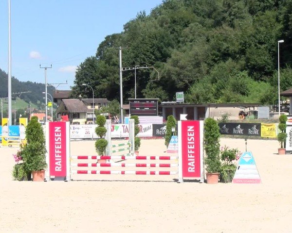 Reitturnier Schüpfheim 2024