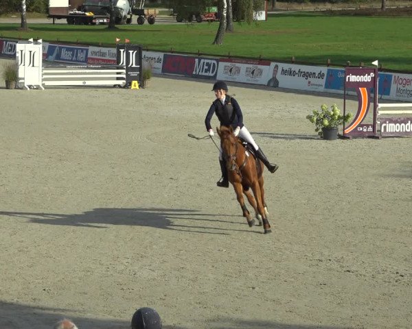 Reitturnier Westergellersen 2021