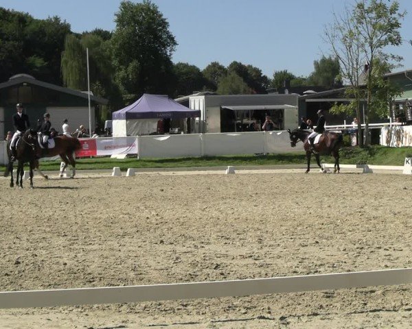 Reitturnier Bergisch Gladbach - Hebborner Hof 2024