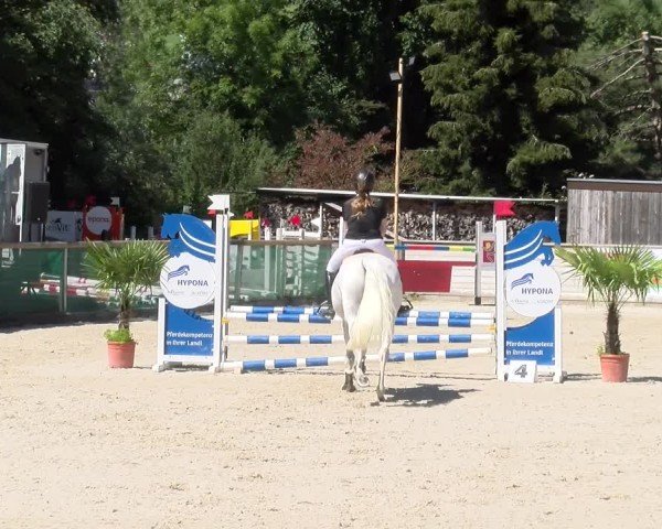 Reitturnier Schüpfheim 2024