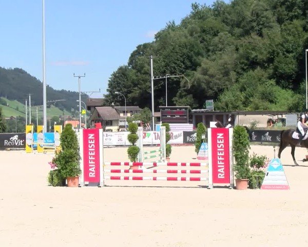 Reitturnier Schüpfheim 2024